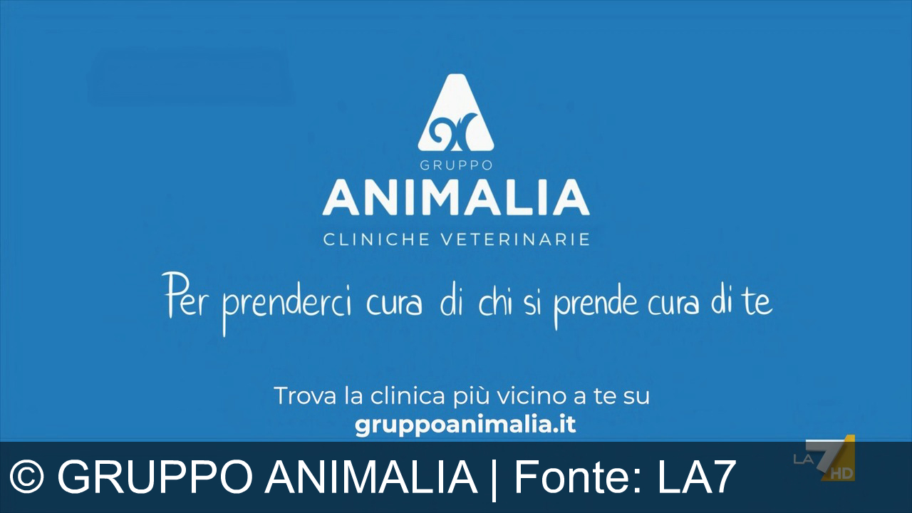 TV Werbung gruppo animalia - Gruppo Animalia: oltre 100 cliniche veterinarie in tutta Italia per prenderci cura di chi si prende cura di te.