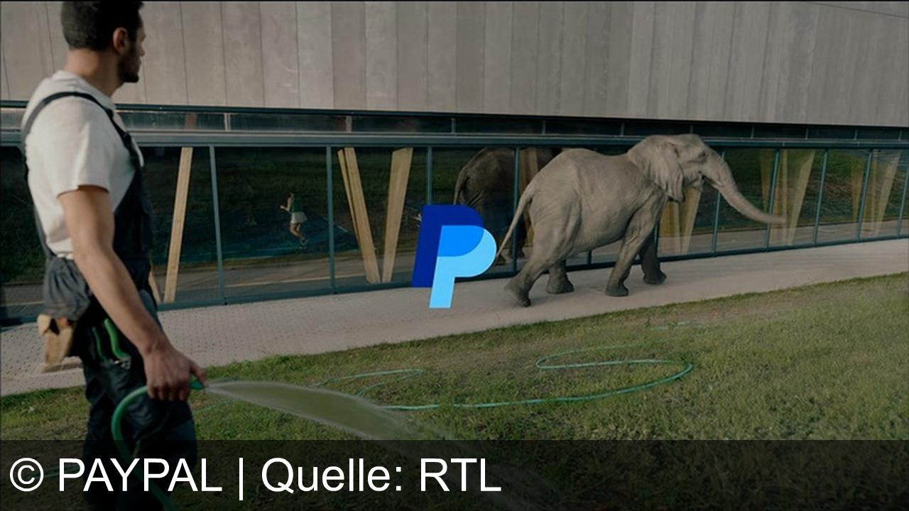 TV Werbung paypal - Sammle Geld für Geschenke einfach mit PayPal und halte den "Elefanten im Raum" fern. Erstelle kostenlos einen Pool, beachte aber mögliche Gebühren bei Fremdwährungen. Paypal es.