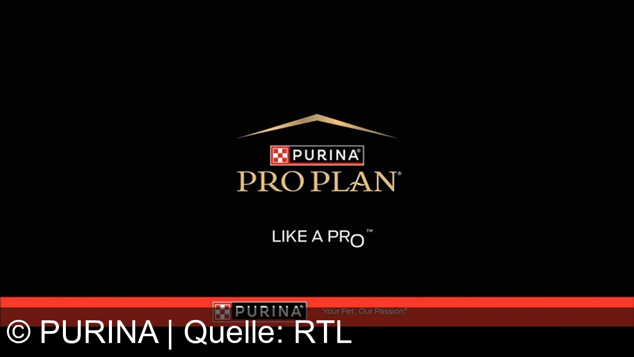 TV Werbung purina - Çağla Büyükakçay, türkische Tennisspielerin, wirbt für Purina:  Steh auf, spiel, entspann dich – und füttere wie ein Champion. Mit Purina Pro Plan wird jeder Tag für dich und dein Haustier zum Sieg.