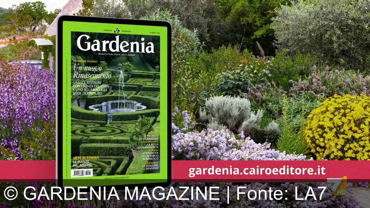 TV Werbung gardenia magazine - Scopri Gardenia: rivista e Agenda 2026, i giardini storici come il Castello Ruspoli, le viole del pensiero e i consigli esclusivi su gardenia.cairoeditore.it. Fiorisci con Gardenia!