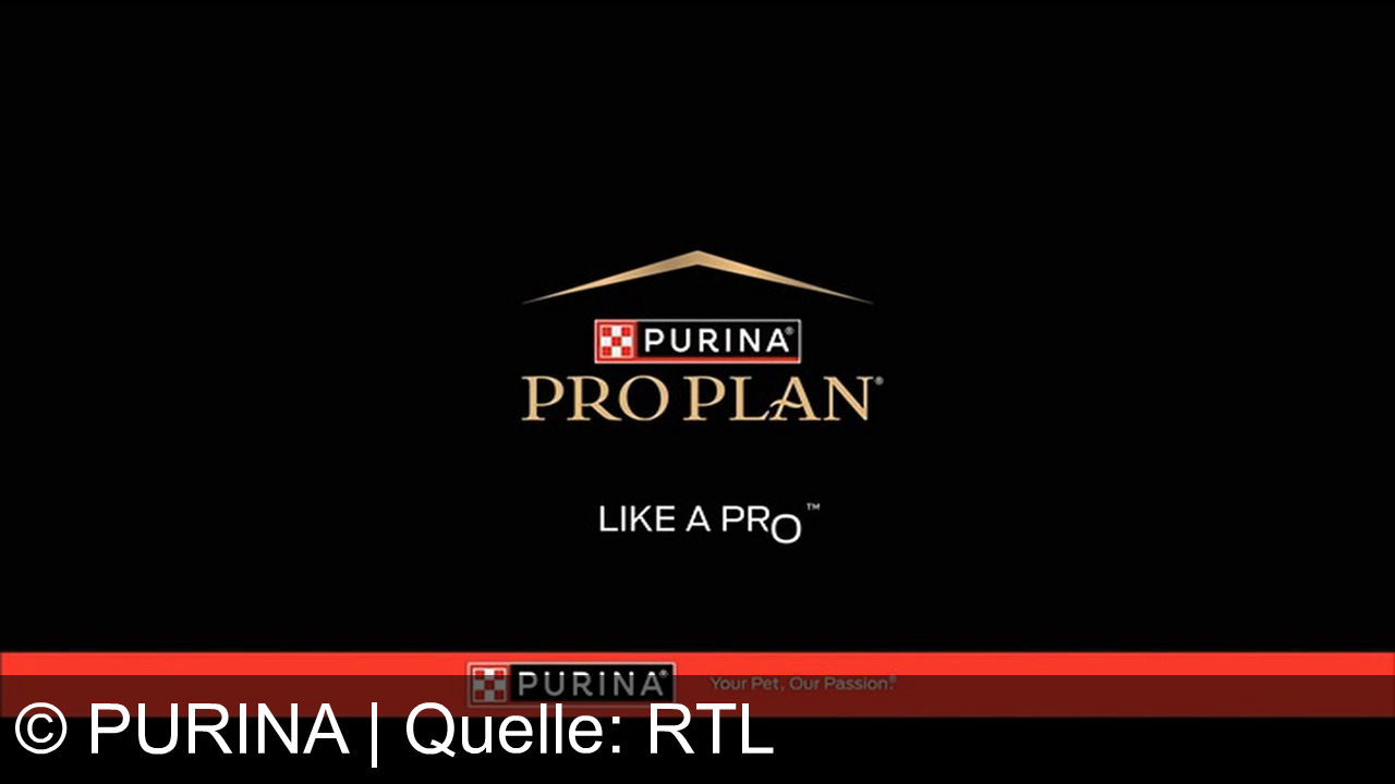 TV Werbung purina - Gaël Monfils, französischer Tennisspieler, wirbt für Purina: Mensch und Hund meistern jeden Moment wie Profis – mit Purina Pro Plan für echte Like‑a‑Pro‑Power.