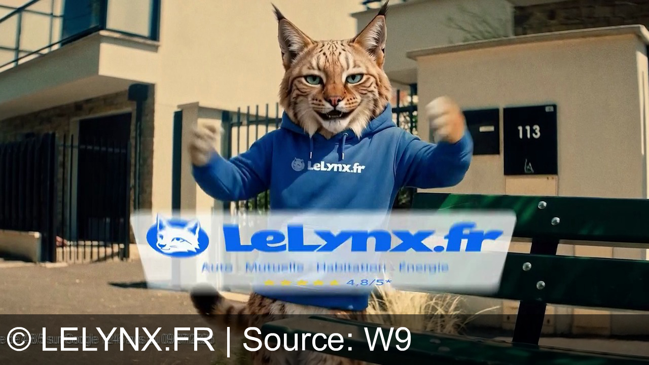 TV Werbung lelynx.fr - Malin le lynx, comparez et économisez jusqu'à 463€ sur votre assurance auto en 5 minutes sur LeLynx.fr !