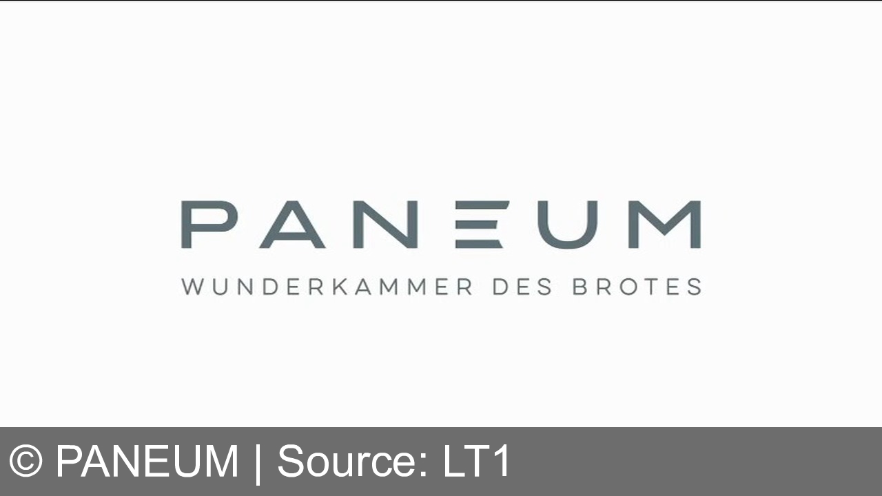 TV Werbung paneum - Entdecken Sie im Paneum die Sonderführung "Christentum als Brotreligion" vom 30.11. bis 21.12.2024, samstags 10:30 Uhr. Infos auf www.paneum.at. Besuchen Sie die Wunderkammer des Brotes!