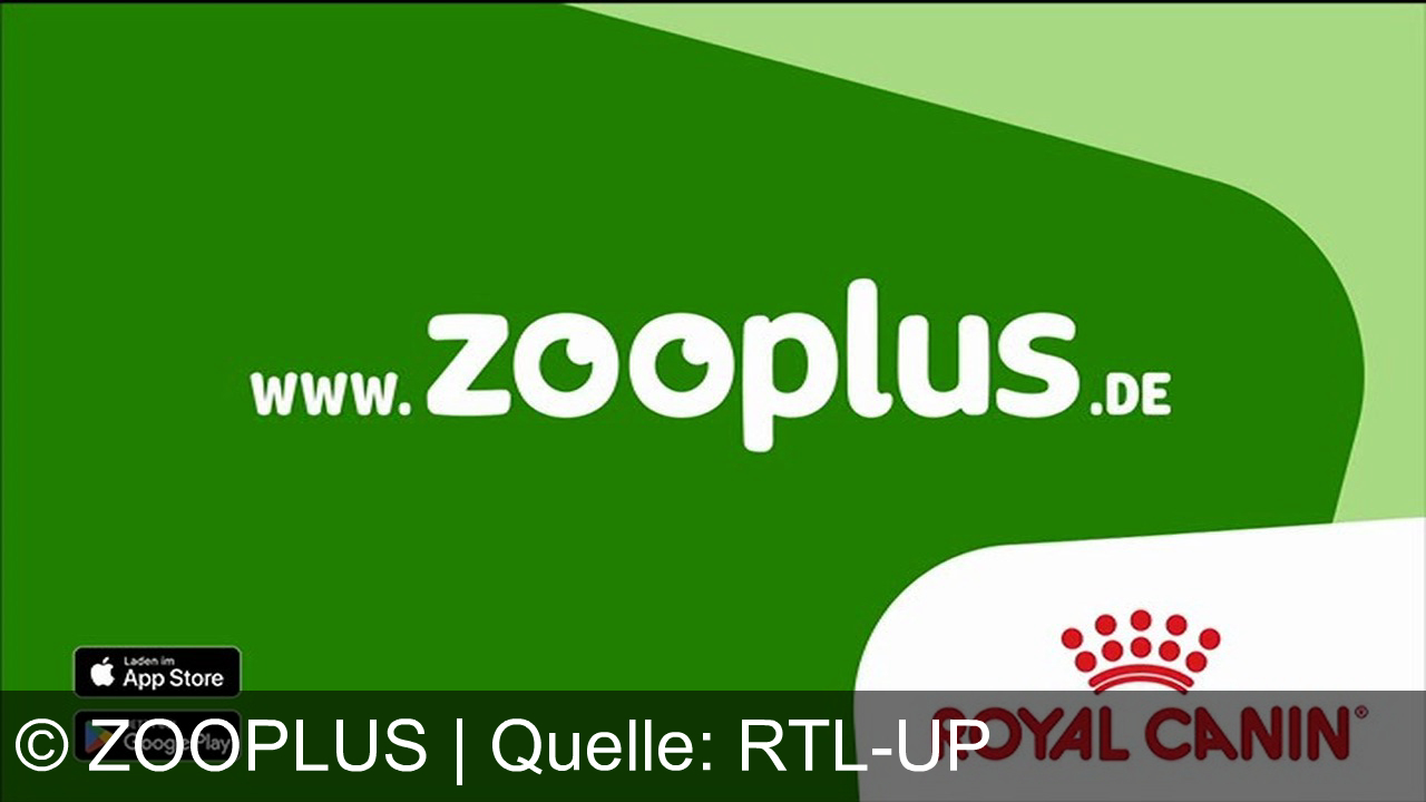 TV Werbung zooplus - Royal Canin bietet seit über 55 Jahren maßgeschneidertes Futter für Katzen und Hunde. Entdecke die Produkte auf zooplus.de oder in der App.