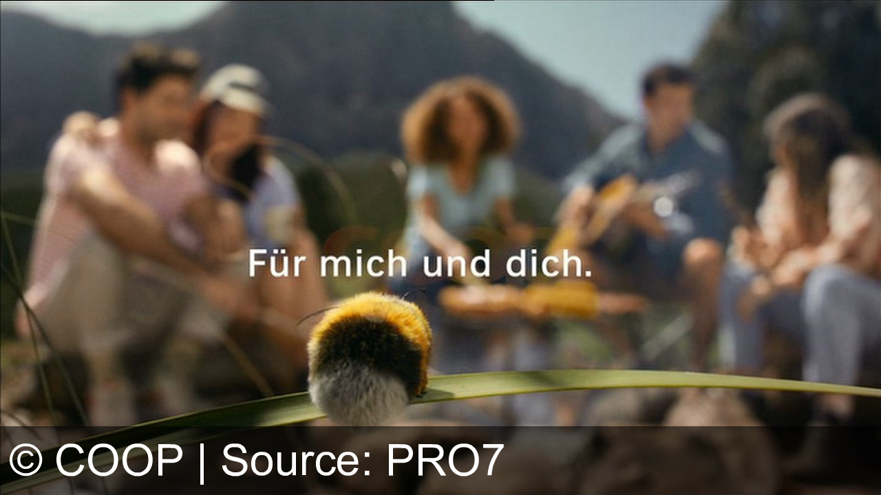 TV Werbung coop - Wenn die Hummel durch die Grillgesellschaft fliegt: Flieg mit Coop in den perfekten Grillsommer – alles für dich und mich! 🐝🔥