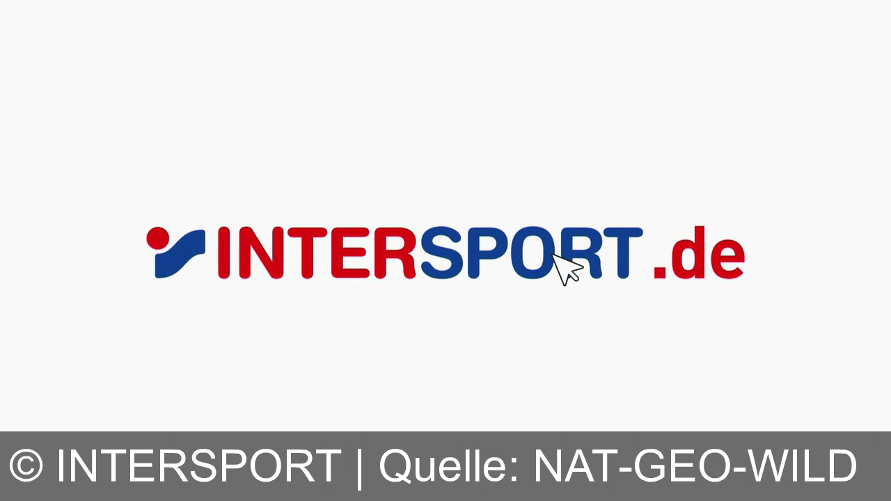 TV Werbung intersport - Dein Weg zum Lauf: Die neuesten Running-Schuhe von Intersport jetzt ab 119,90€. Von ersten Schritten bis zum Sieg. Intersport.de