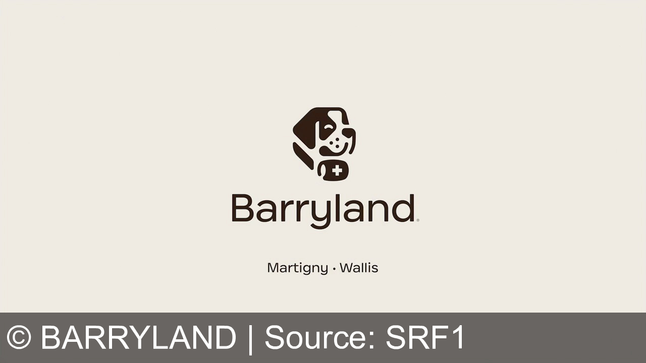 TV Werbung barryland - Entdecke das Abenteuer mit Barryland: Wo Hunde die Show stehlen und Martigny Wallis zum tierischen Erlebnis wird! 🐾✨