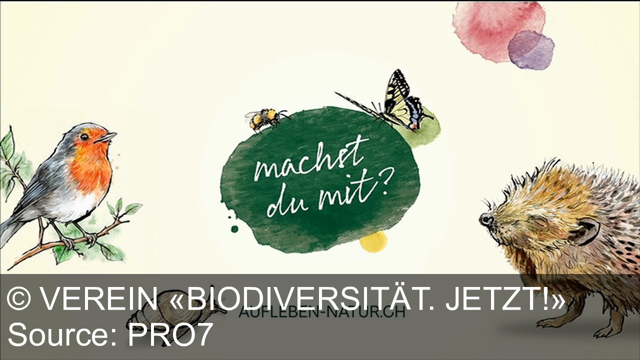 TV Werbung verein «biodiversität. jetzt!» - Vom graunen Einheitsbalkom zur grünen Stadoase: Lass deine Welt aufleben – entdecke die Vielfalt der Natur und werde Teil des Wandels! Besuche aufleben-natur.ch und mach mit!