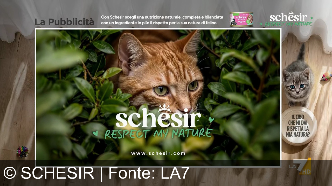 TV Werbung schesir - Schesir, respect my nature. Amarlo è facile, dimostrarlo meno. Scegli ricette con un ingrediente in più: il rispetto per la sua natura di felino.