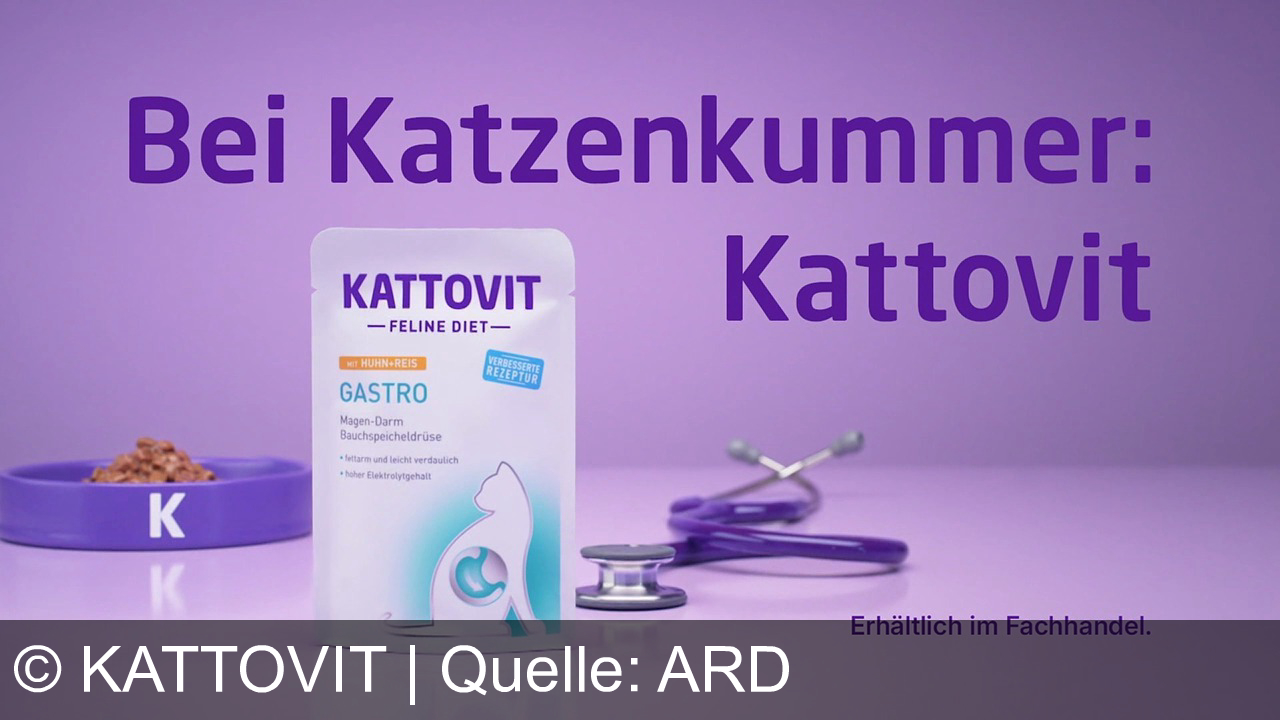 TV Werbung kattovit - Bei Katzenkummer: Kattovit! Kattovit Gastro reguliert und unterstützt die Magen-Darm-Verdauung sanft und lecker für das Wohl Ihrer Katze.