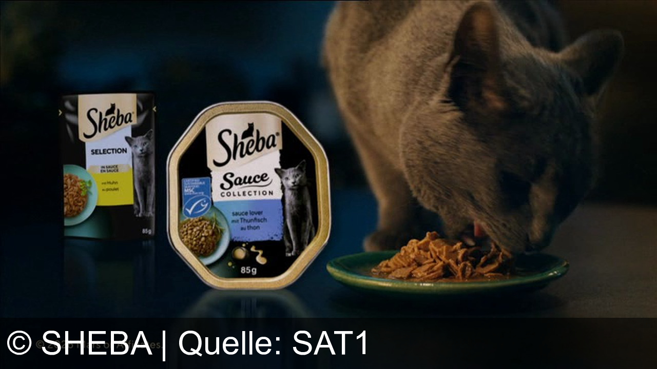 TV Werbung sheba - Sheba Selection: Liebe, die man sieht – für wahre Sauce Lover wie Shiva. Nur das Beste für Katzen, von Mars.