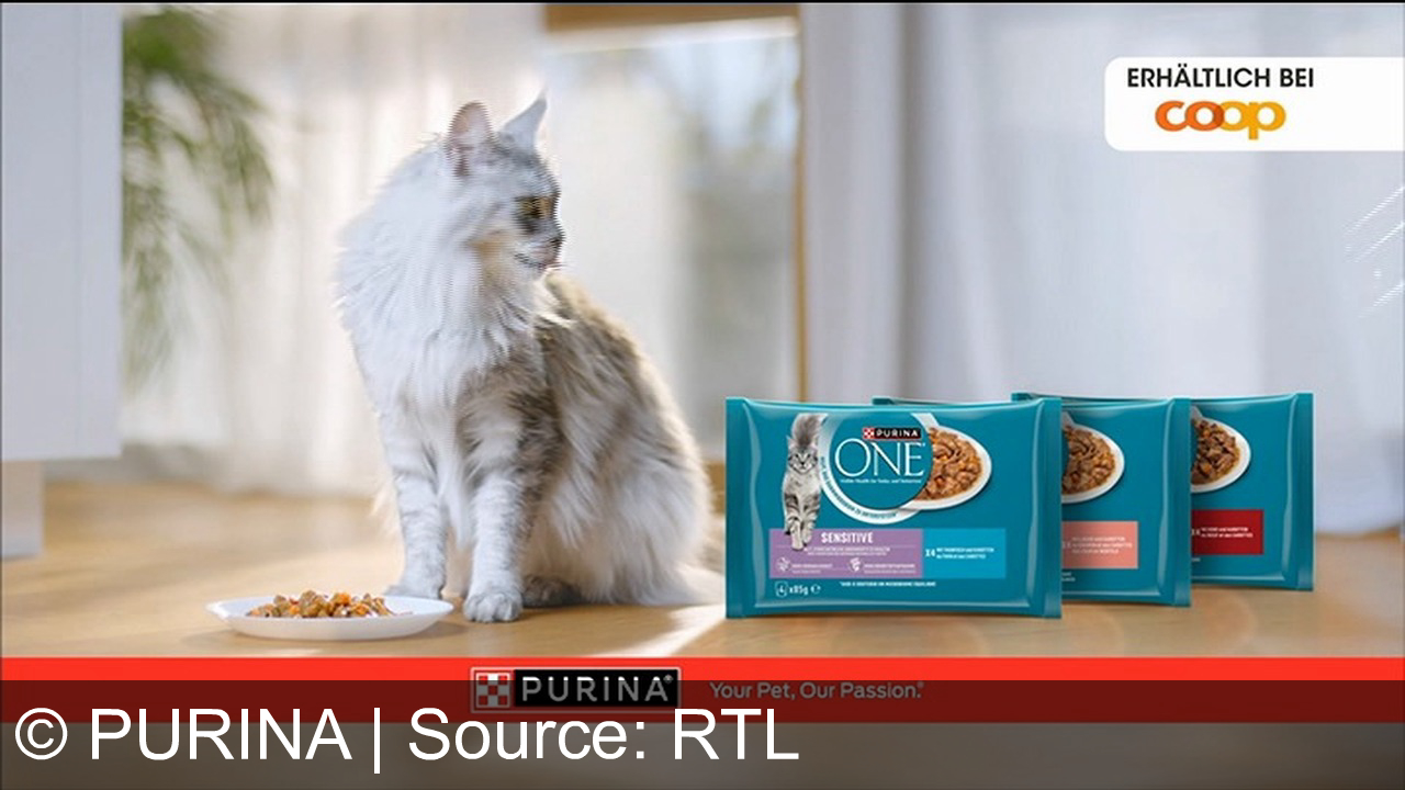 TV Werbung purina - Purina One Bifensis: Für das Wohlbefinden Ihrer Katze – sichtbar gesunde Balance mit leckerem Trocken- und Nassfutter. Erhältlich bei Coop. Purina One, Your Pet, Our Passion.