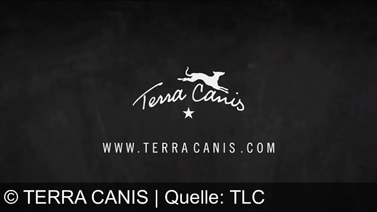 TV Werbung terra canis - Terra Canis: Hausmannskost für Hunde mit 100% Lebensmittelqualität. Riecht und schmeckt wie selbst gekocht. Pfote drauf – jetzt probieren!