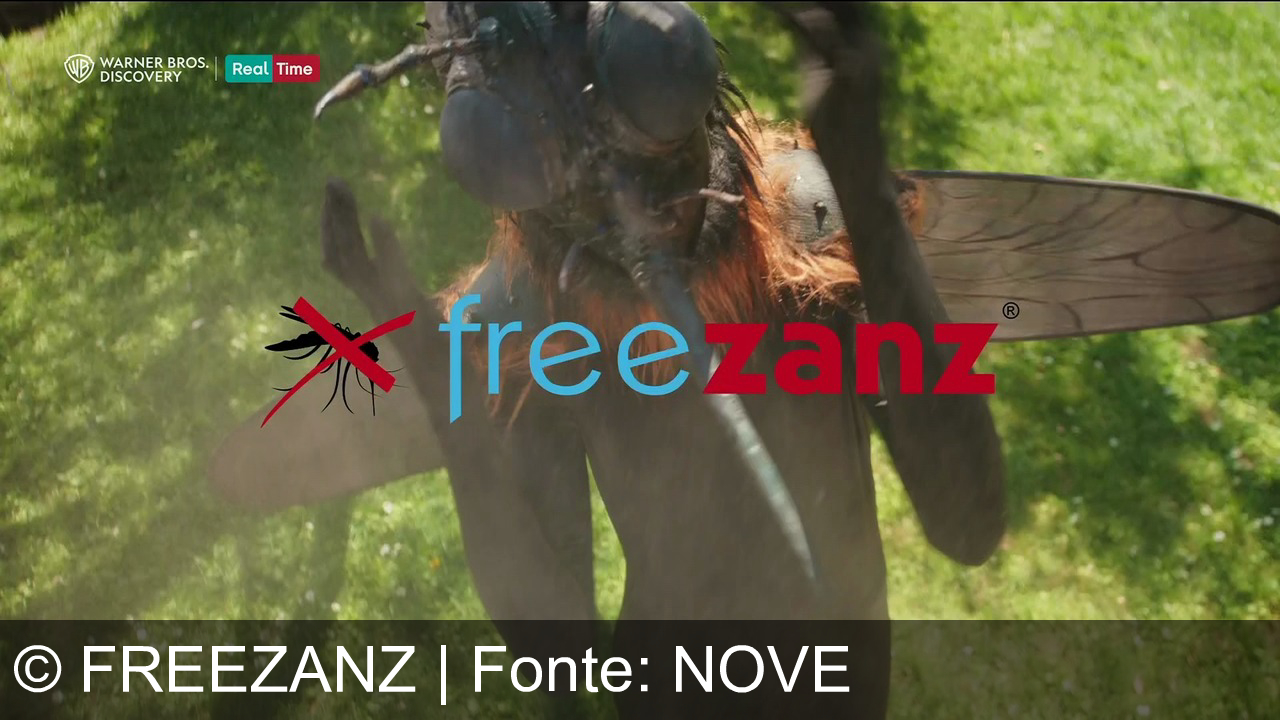 TV Werbung freezanz - Vivi il tuo giardino in relax: con Freezanz le zanzare saranno solo un brutto sogno. Freezanz e enjoy your dreams!