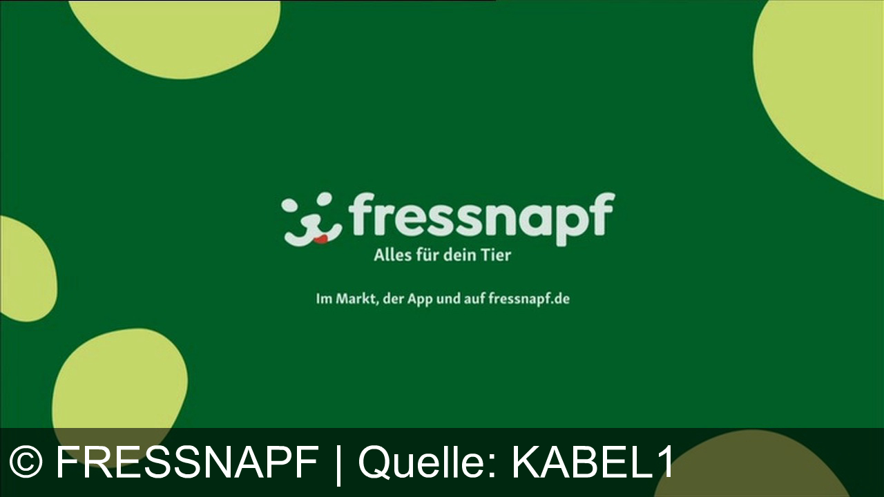 TV Werbung fressnapf - Fressnapf – Alles für dein Tier: Entdecke Spielzeug, das begeistert! Werde Friends-Mitglied und sichere dir 10% Little-Friends-Rabatt. Im Markt, der App und auf fressnapf.de.