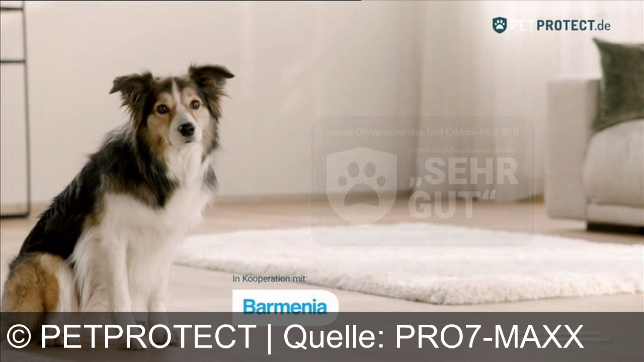 TV Werbung petprotect - PetProtect & Barmenia – perfekte OP-Versicherung für Hund und Pferd! Bis zu 100% Kostenerstattung. Top Schutz ein Leben lang. Jetzt informieren auf petprotect.de!