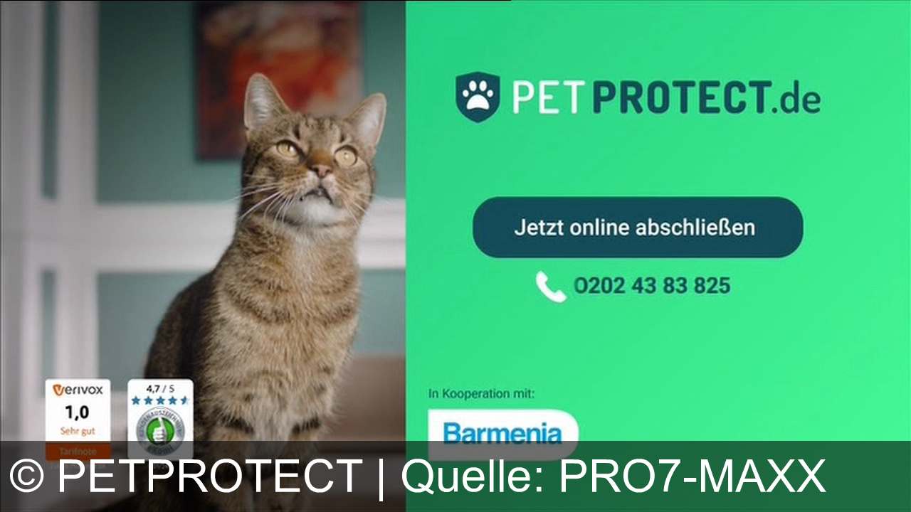 TV Werbung petprotect - PetProtect Tierversicherung deckt bis zu 100% OP-Kosten für Hunde und Katzen. Jetzt absichern auf PetProtect.de.