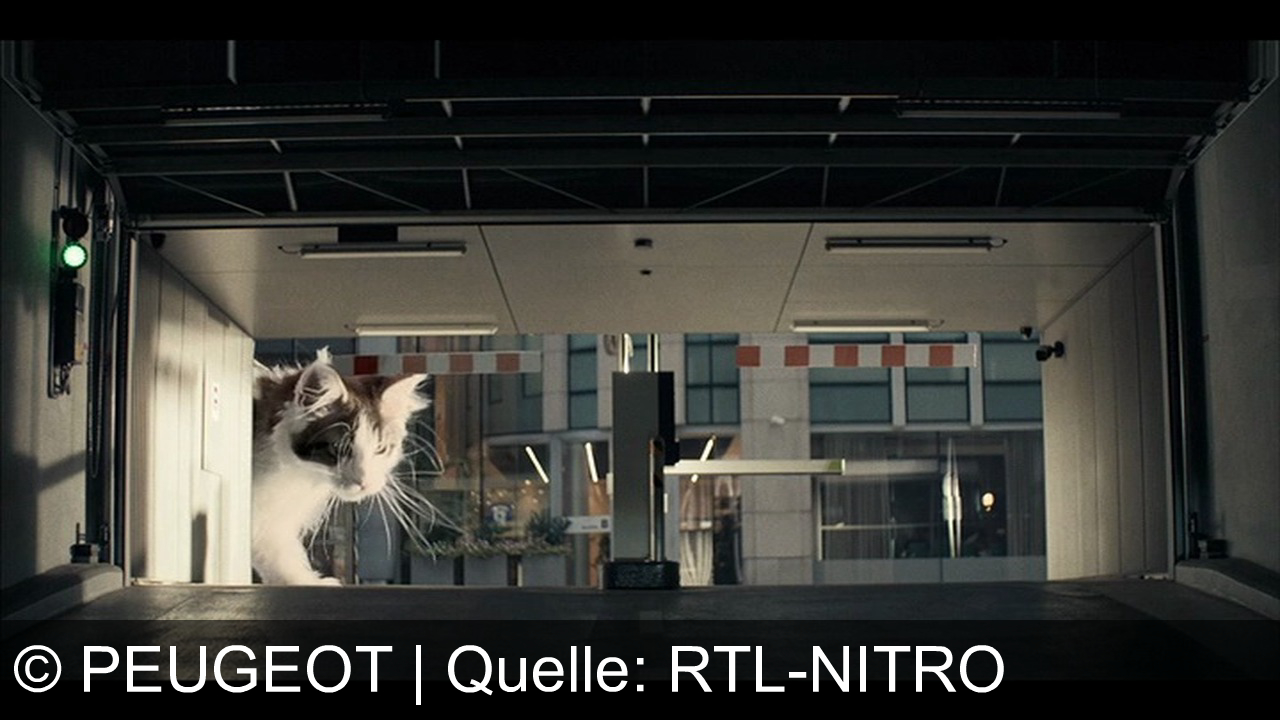 TV Werbung peugeot - Der neue Peugeot 308 Hybrid – der Löwe kommt. Ab 21.850 Euro.