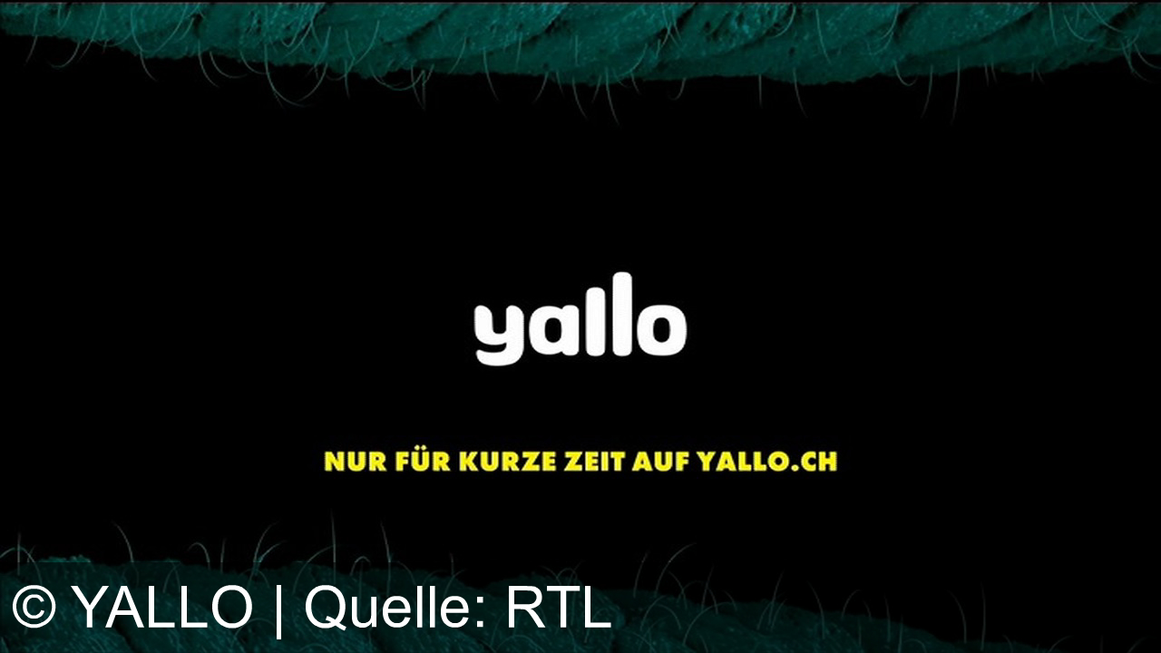 TV Werbung yallo - Max Speed für dein Zuhause! Mit Yallo Home Black bekommst du lebenslang schnellstes Internet für nur 34,90 €/Monat. Jetzt sichern auf yallo.ch!