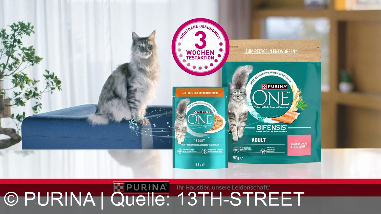 TV Werbung purina - Die Pflege deiner Katze ist eine lebenslange Verpflichtung. Mit der hochwertigen Ernährung von Purina One kannst du in drei Wochen einen sichtbaren Unterschied erkennen. Ein großer Appetit und viel Energie, ein verbessertes Darmmikrobiom für eine geregeltere Verdauung, ein glänzendes Fell und strahlende Augen. Entdecke die Purina One 3 Wochen Testaktion.