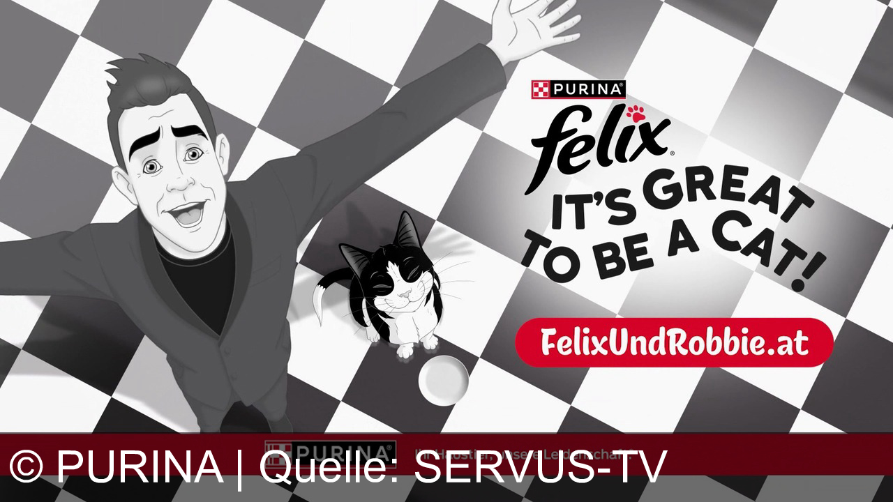 TV Werbung purina - **Felix und Robbie Williams: Ein Dinner, das Katzen glücklich macht.** Purina Felix – Es ist großartig, eine Katze zu sein!