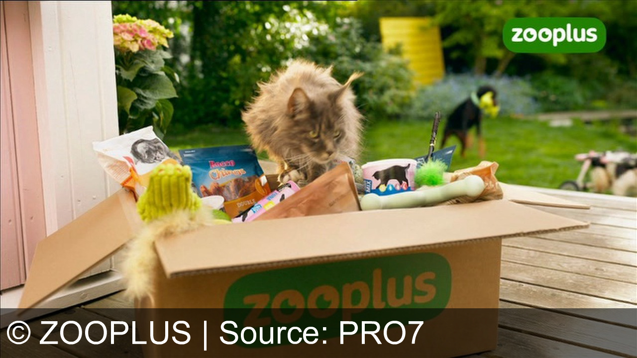 TV Werbung zooplus - Wenn der Paketlieferant Zooplus-Pakete bringt ;) Zooplus: Alles für dein Tier. Bestell jetzt auf zooplus.at und mach deine Fellfreunde glücklich! Kommt immer gut an bei deinem Tier. Jetzt online bestellen auf zugplus.at, dein Experte für Haustierbedarf.