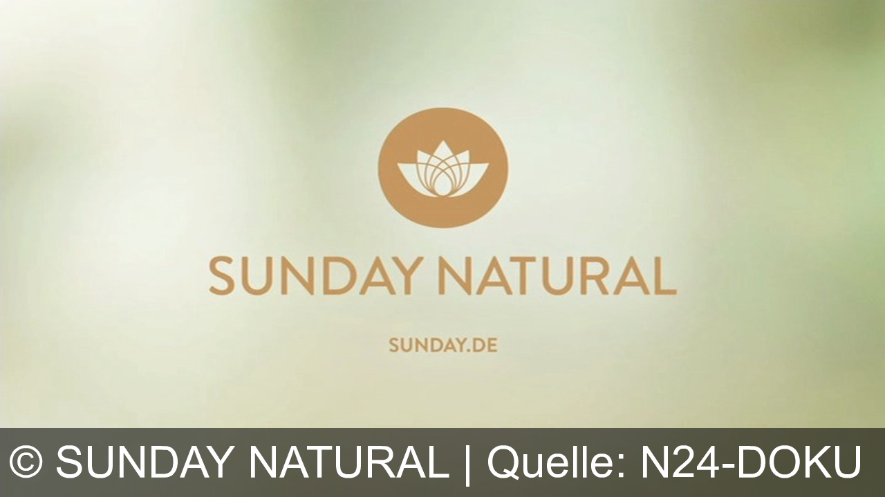 TV Werbung sunday natural - Finde deine Balance mit Meno Komplex und Cycle Komplex von Sunday Natural – natürliche, bioaktive Supplements für Zyklus und Wechseljahre. Empfohlen von Ärztinnen. Jetzt auf sunday.de!
