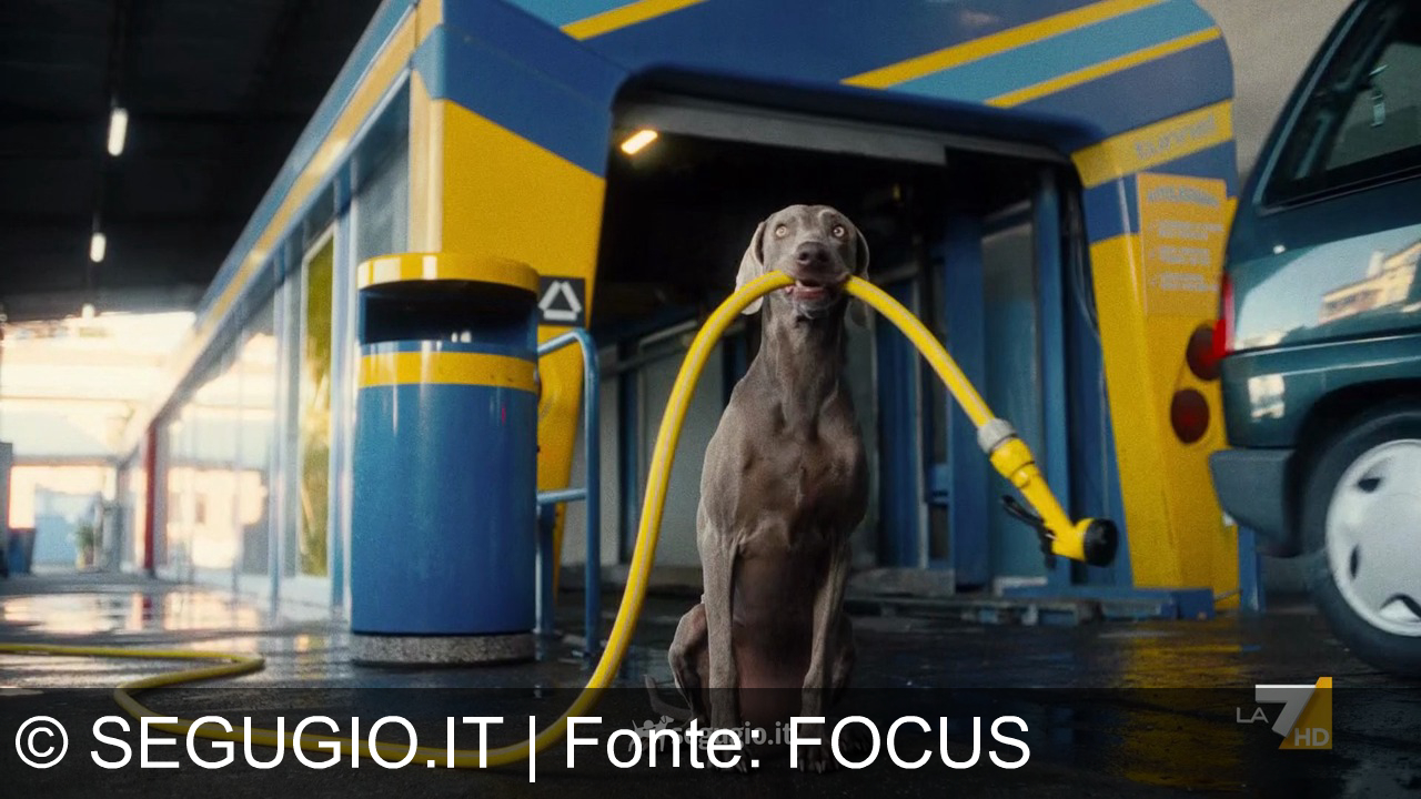 TV Werbung segugio.it - Confronta e risparmia su polizze auto e moto con Segugio.it, il comparatore senza confronti.