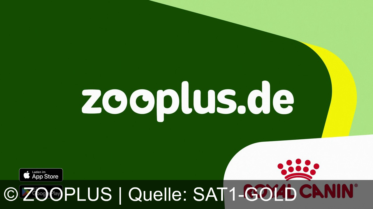 TV Werbung zooplus - Entdecke die Welt von Royal Canin bei zooplus! Perfekt abgestimmtes Futter für jede Lebensphase deiner Lieblinge. Jetzt die App laden und losshoppen – dein Experte für Haustierbedarf! 🐾📱