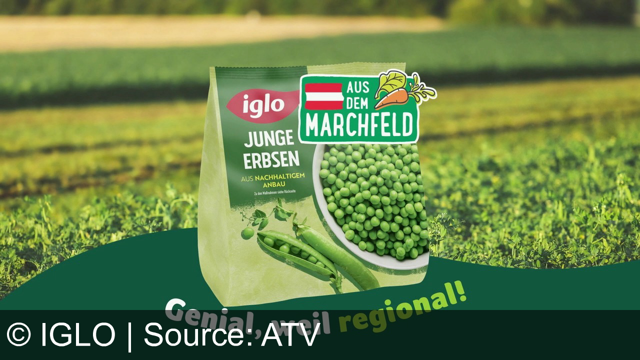 TV Werbung iglo - Genial, weil regional! Entdecke den cremigen Geschmack von iglo Cremespinat und zarten Erbsen aus nachhaltigem Anbau im Marchfeld. Österreichs Favorit für bewussten Genuss!