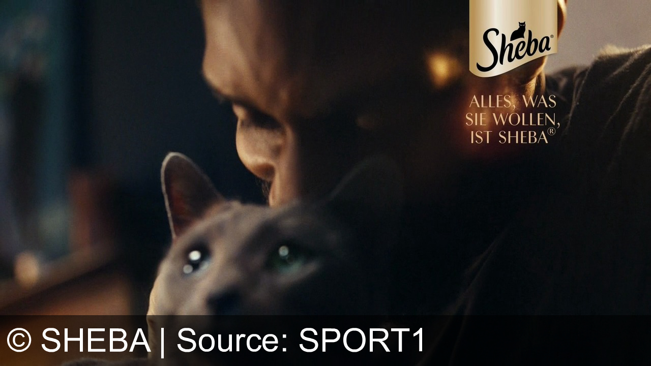 TV Werbung sheba - Wenn der Stoff-Fisch Wirklichkeit wird? Oder andersruM? Alles, was Sie wollen, ist Sheba® – Verwöhnen Sie Ihre Katze mit dem Besten!