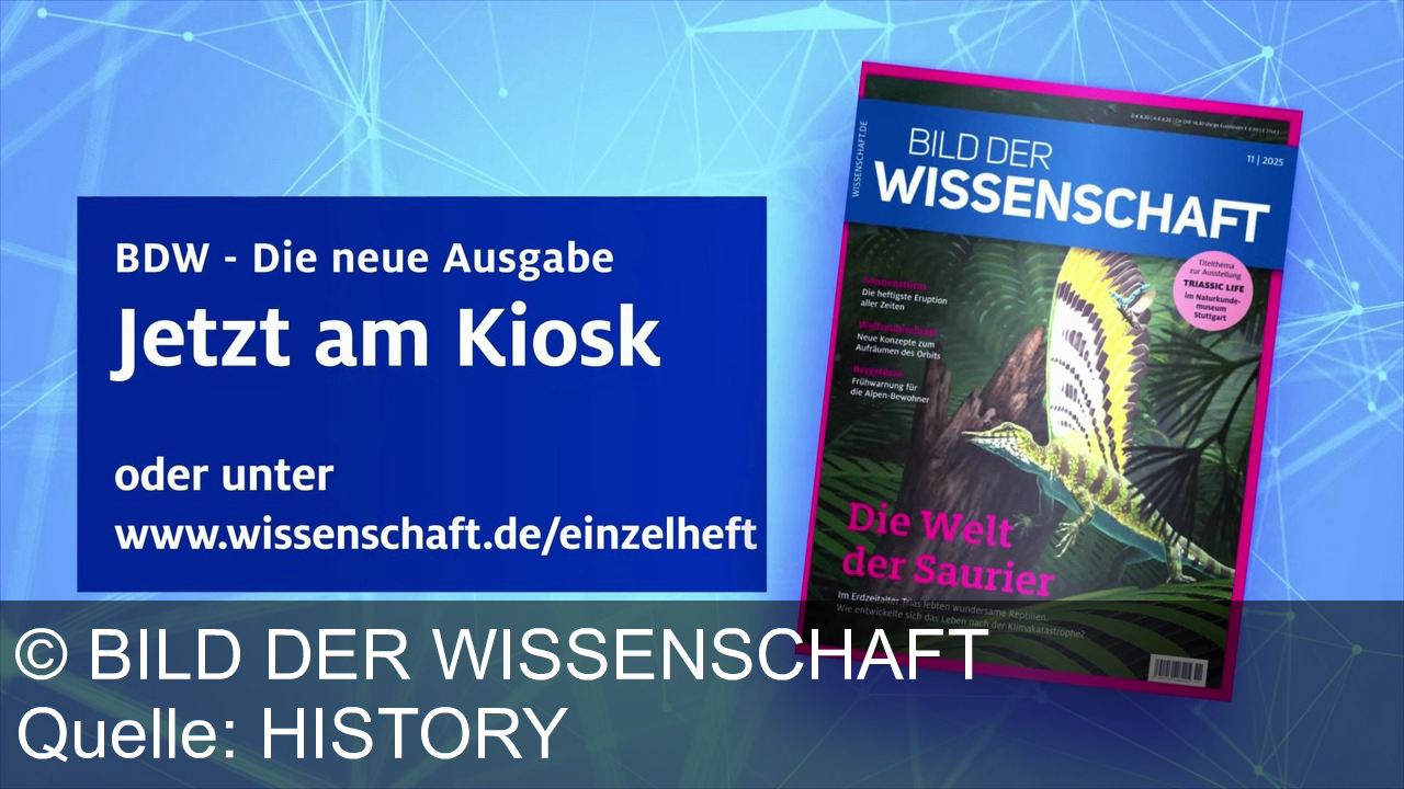 TV Werbung bild der wissenschaft - Erleben Sie mit Bild der Wissenschaft faszinierende Saurier, gewaltige Sonnenstürme und innovative Konzepte gegen Weltraumschrott – jetzt am Kiosk oder unter wissenschaft.de!