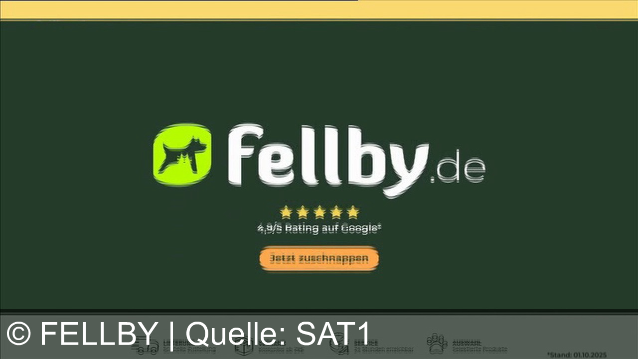 TV Werbung fellby - Entdecke die exklusive Fellby Überraschungsbox für Hunde & Katzen – Premium-Marken, spannende Produkte, Top-Preis! Jetzt auf fellby.de zuschnappen und deinen Vierbeiner begeistern!