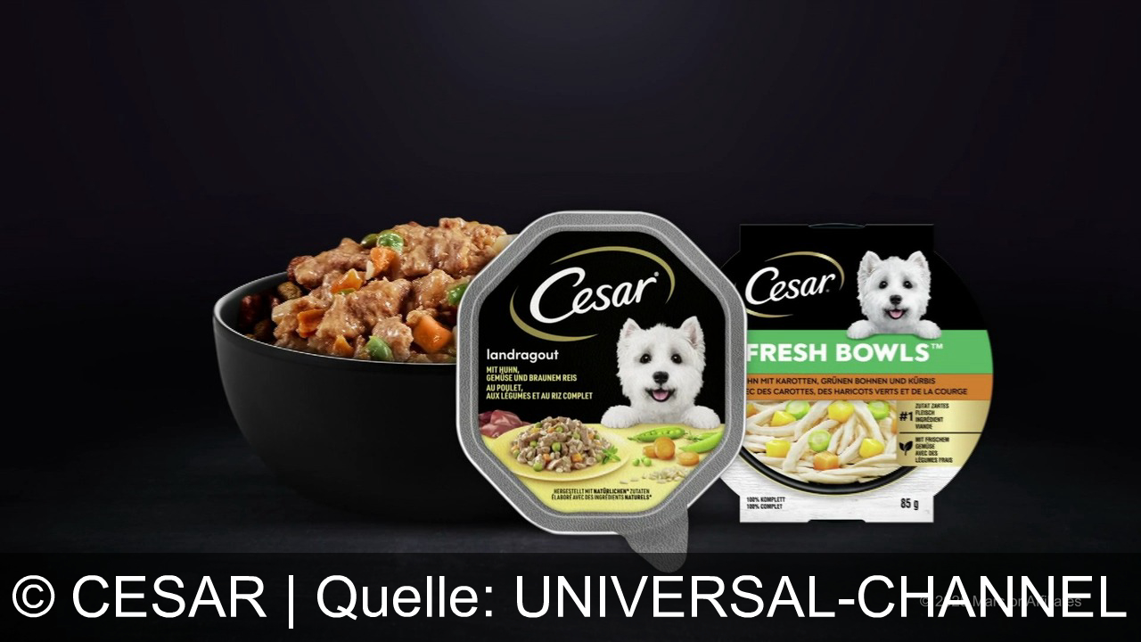 TV Werbung cesar - Verwöhne deinen Liebling mit Cesar – das Futter, das Hundeherzen höherschlagen lässt. 100% komplett, 100% natürlich.